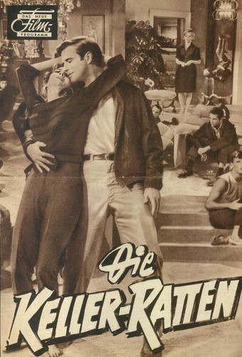 Das neue filmprogramm - das,