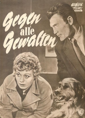 Das neue filmprogramm - das,